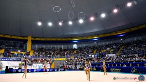 esibizioni farfalle ph simone ferraro dsc09805 copia